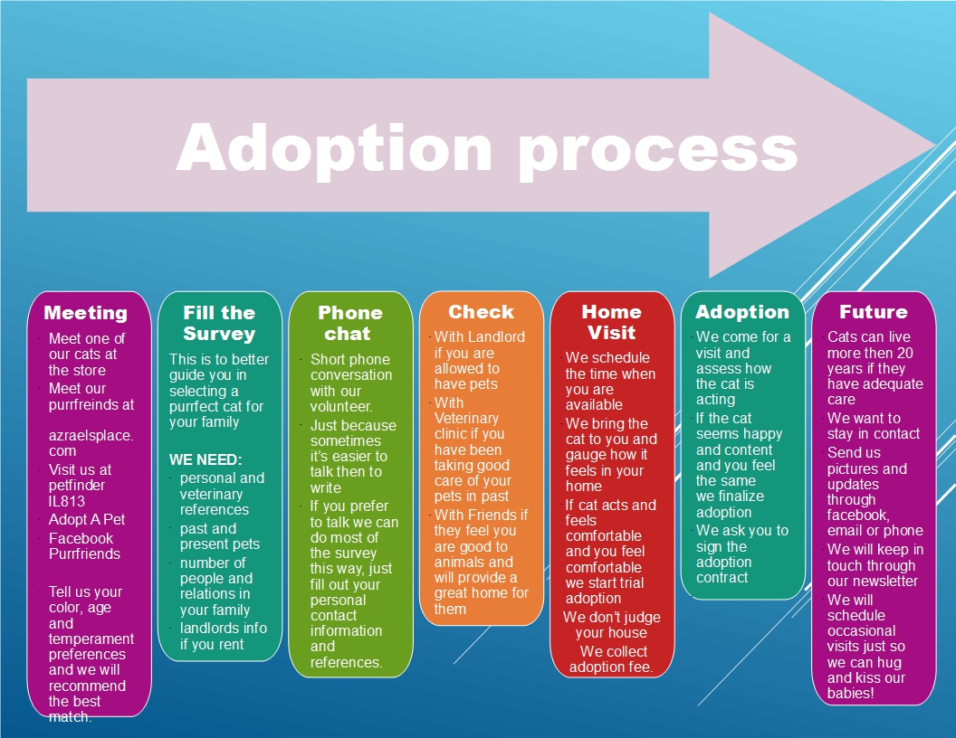 Adoption rev 1