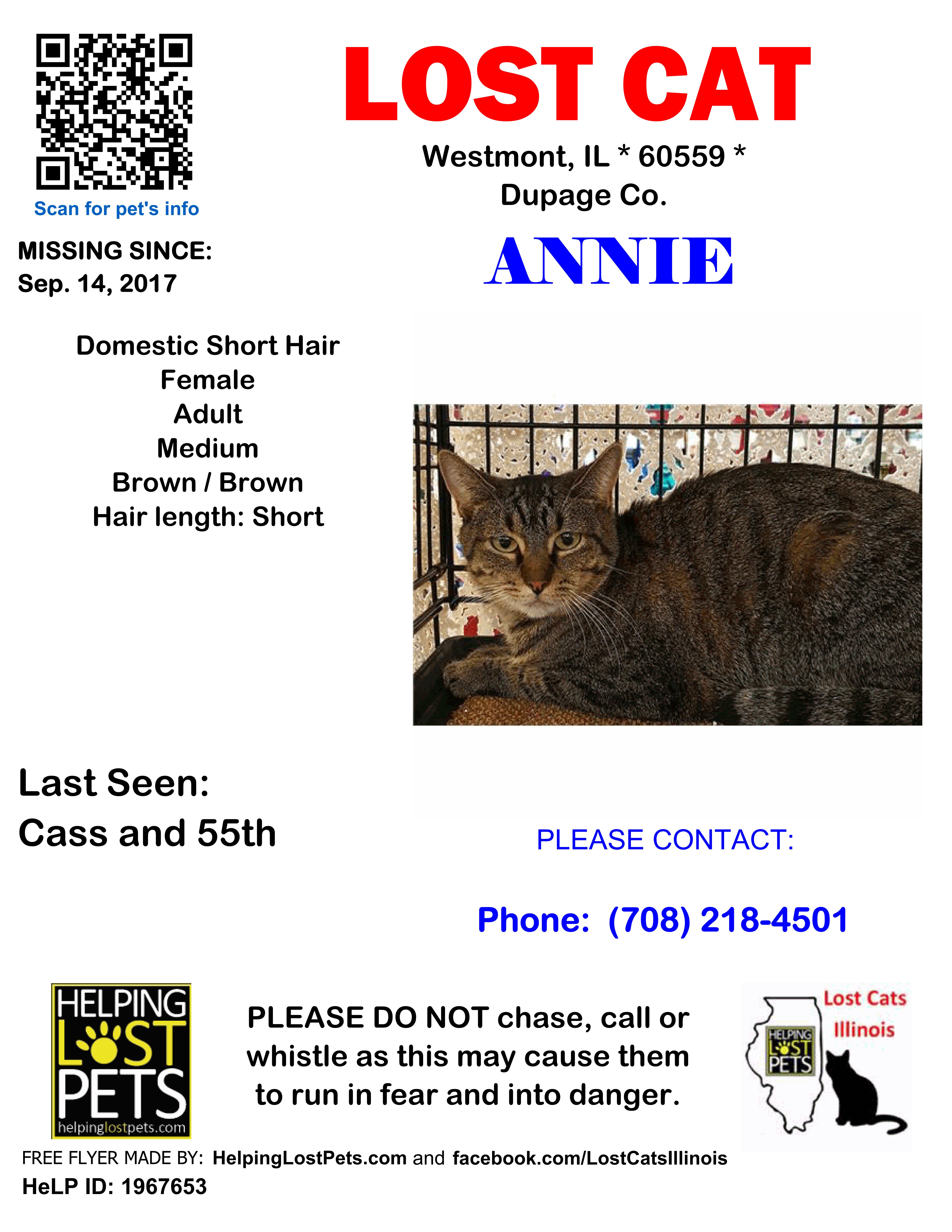 annie flyer