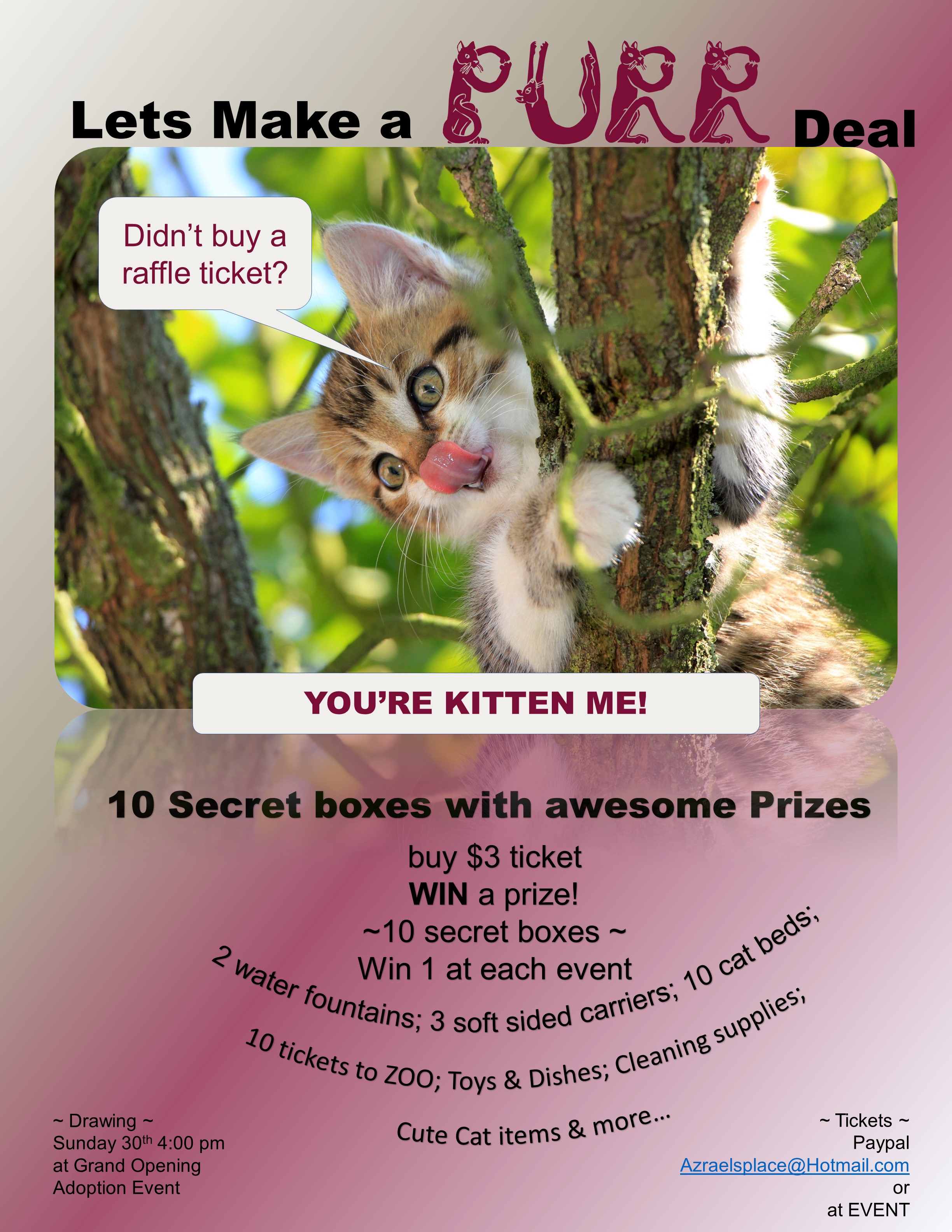 kitten me - Azrael's Place ~ where shy cats call home