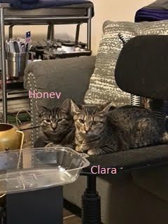 Clara and Honey 1