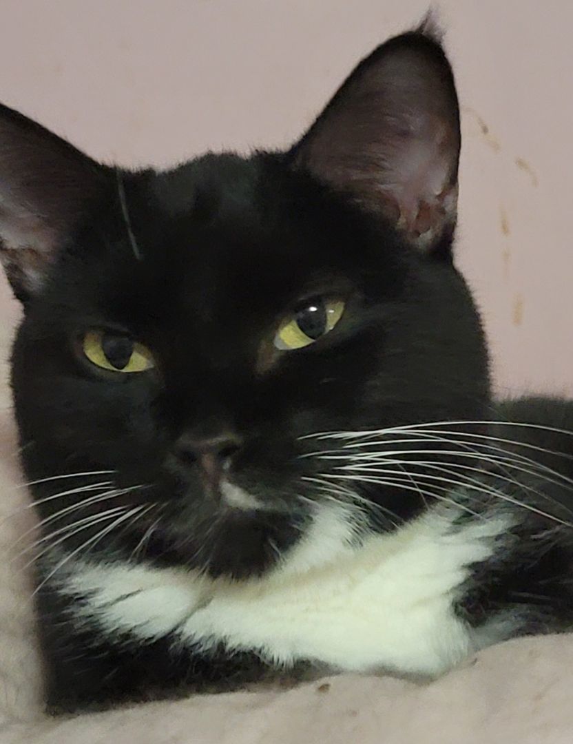 1f6be6d1-86ff-4c87-a0f0-0f5a3367a5b1