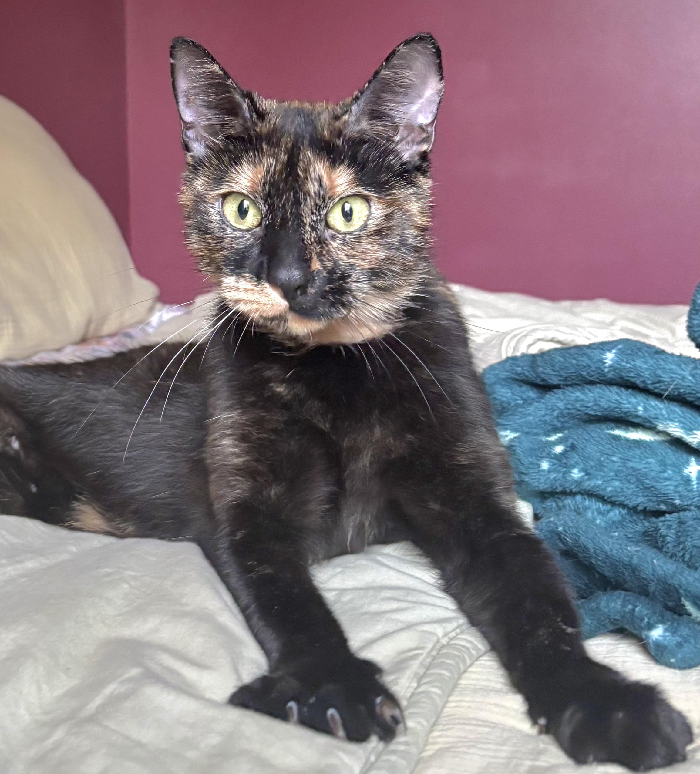 6d59cb77-c895-4894-a733-3141a92dadfe