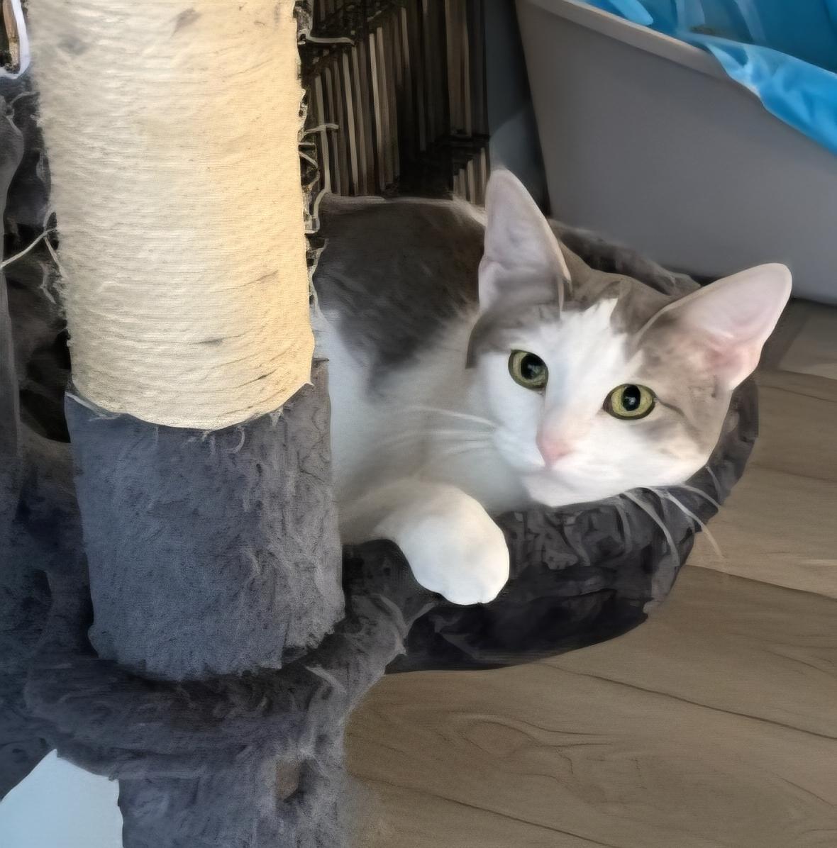 9f0d4bfe-0b11-4e96-bccf-e3b95b620ee8